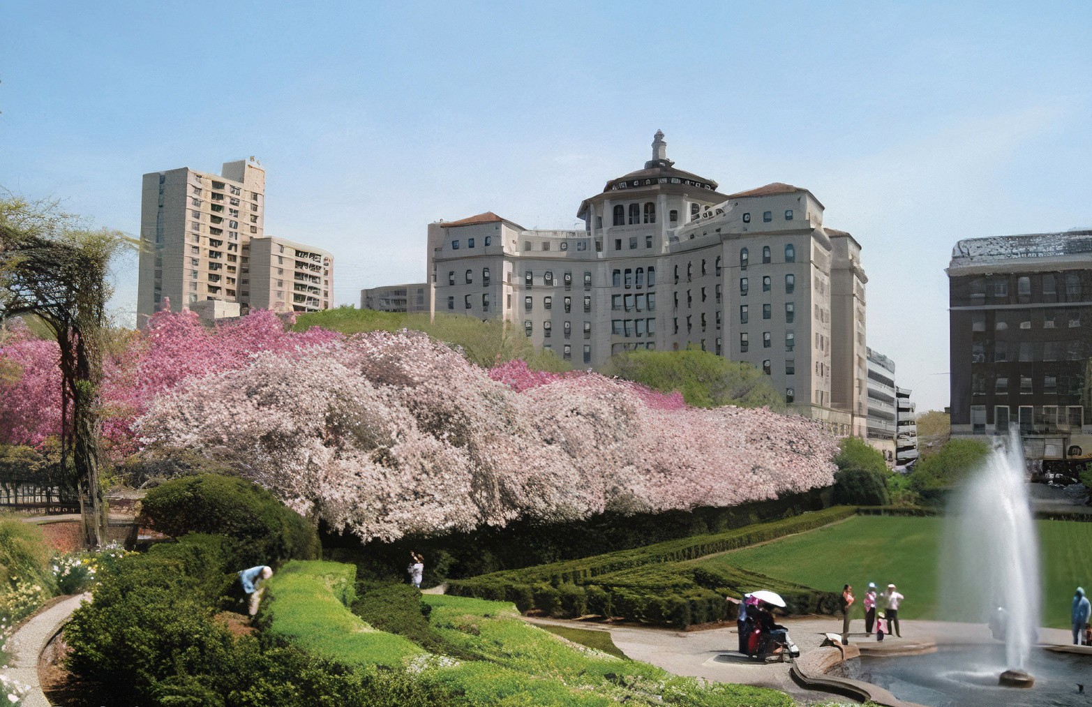 Artistic rendering of the TCC from the outside in spring